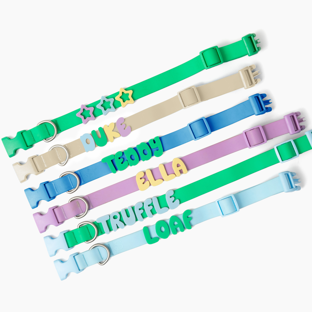 Waterproof Dog Collar