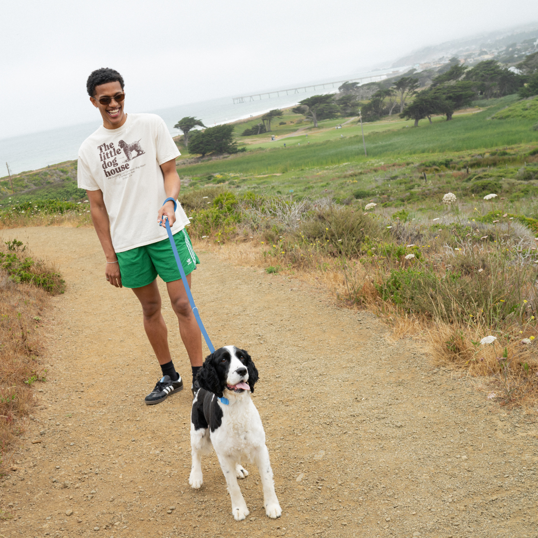 Waterproof Dog Leash - 5ft