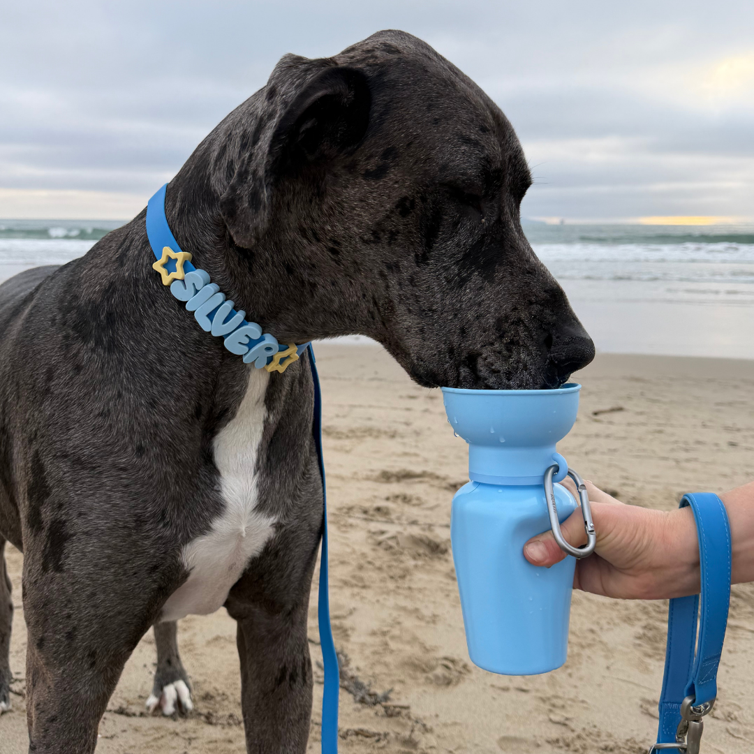 Waterproof Dog Leash - 5ft