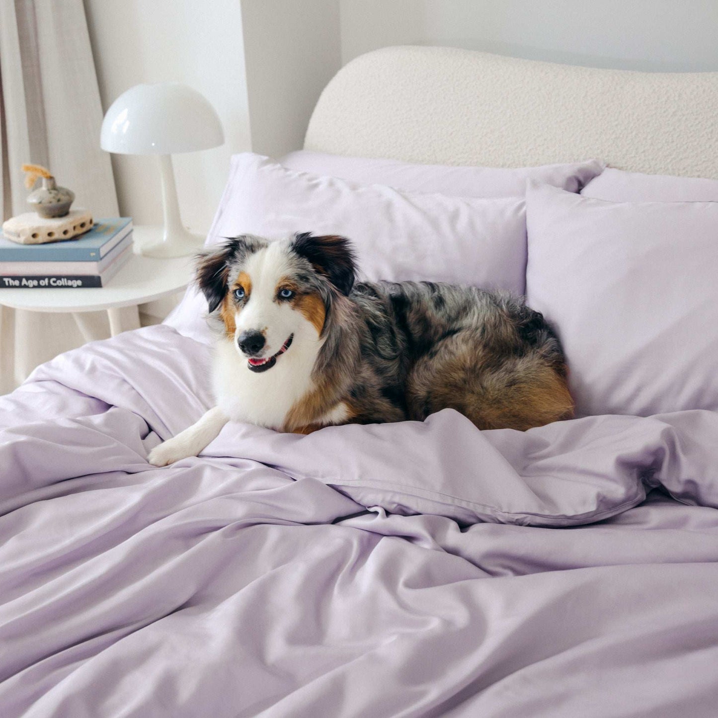 Organic Bamboo Sateen Duvet Cover Set