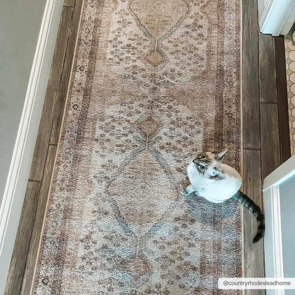Analu Non-Slip Washable Rug