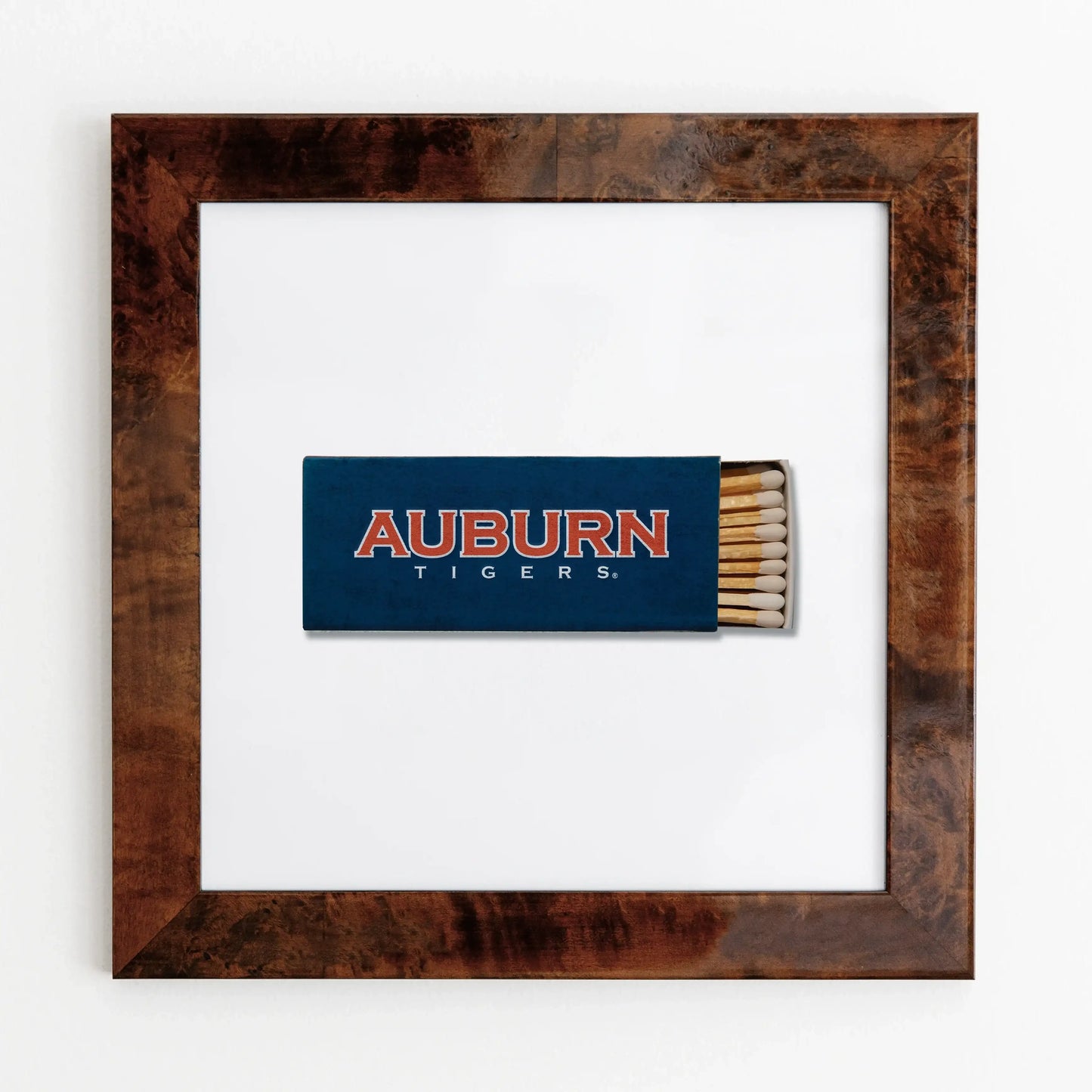 Auburn University Vol. 1