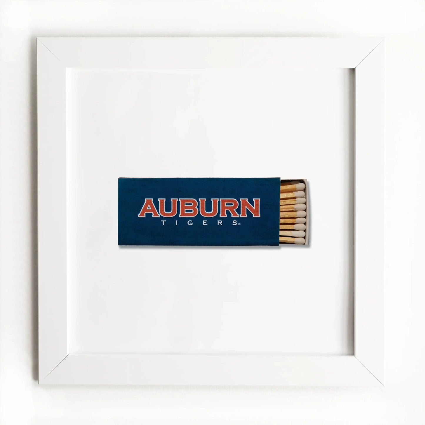 Auburn University Vol. 1