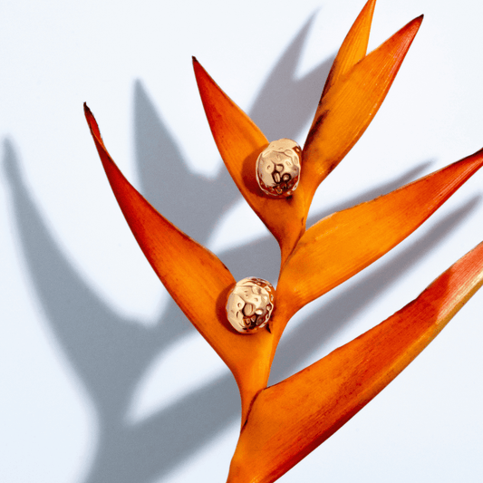 Collins Geometric Bold Earrings