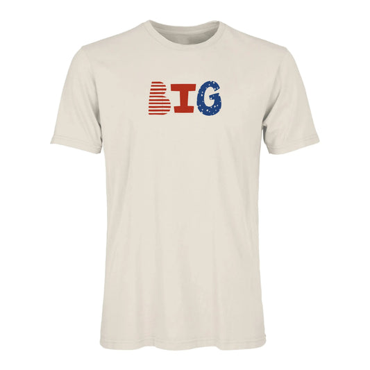 adult graphic tee | big