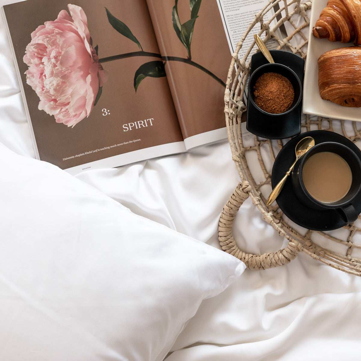 Organic Bamboo Sateen Pillowcase Set