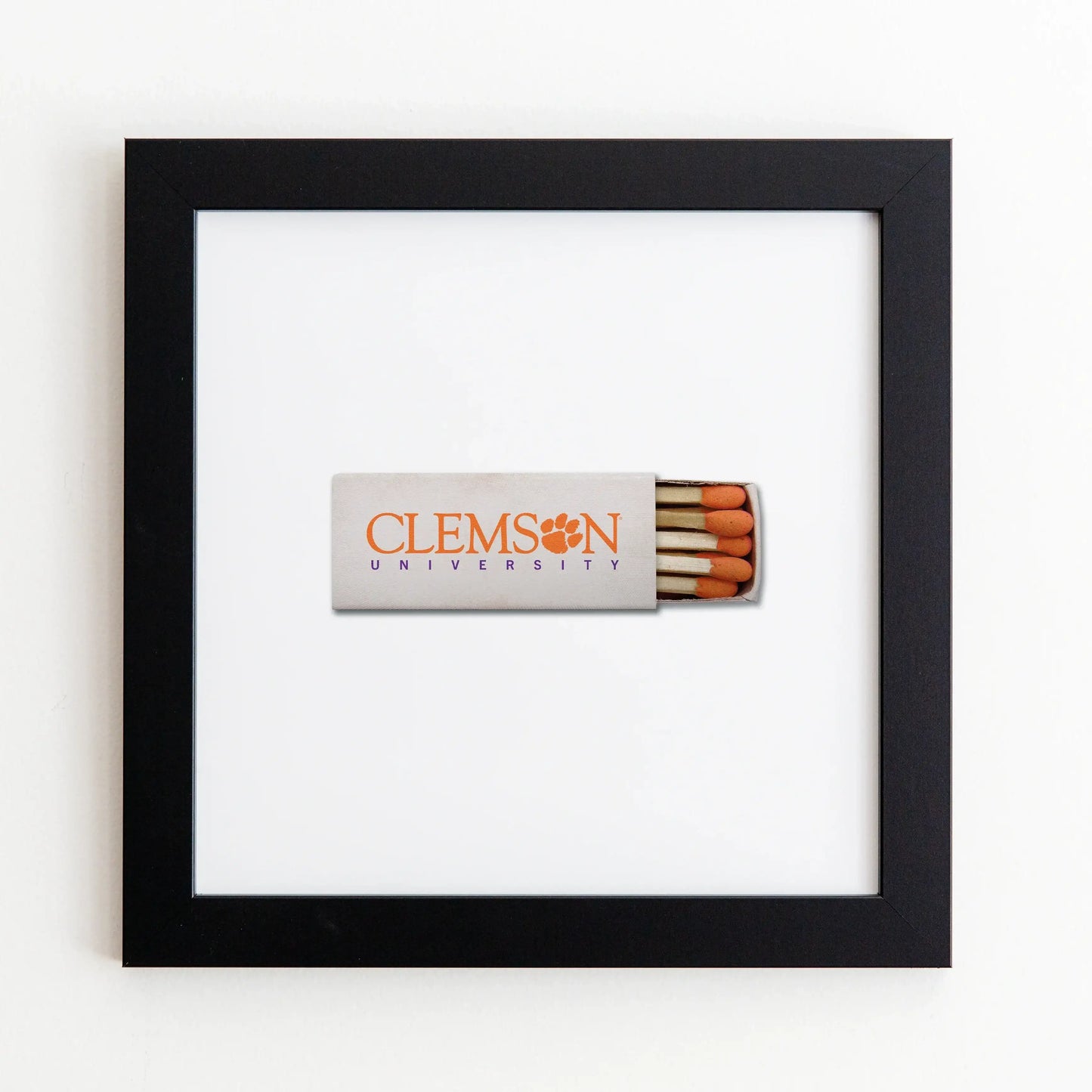 Clemson University Vol. 1