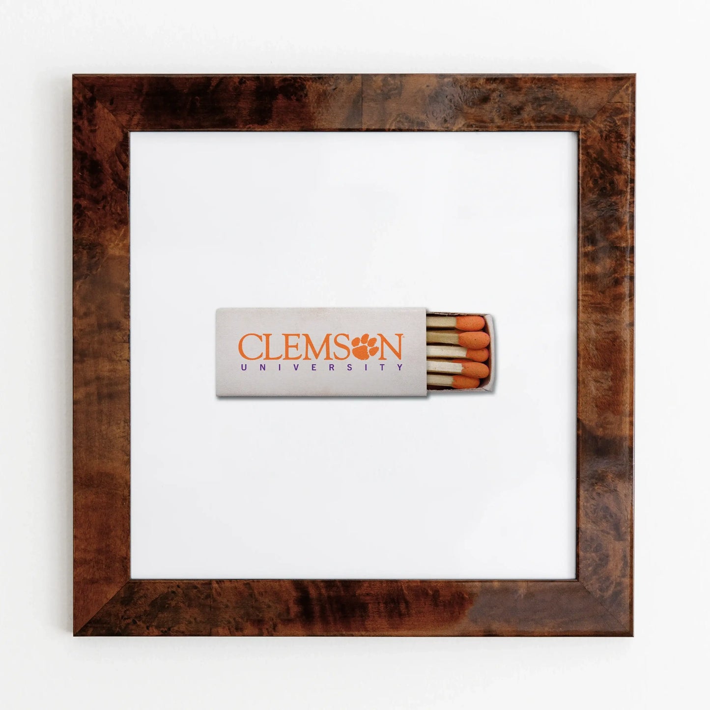 Clemson University Vol. 1
