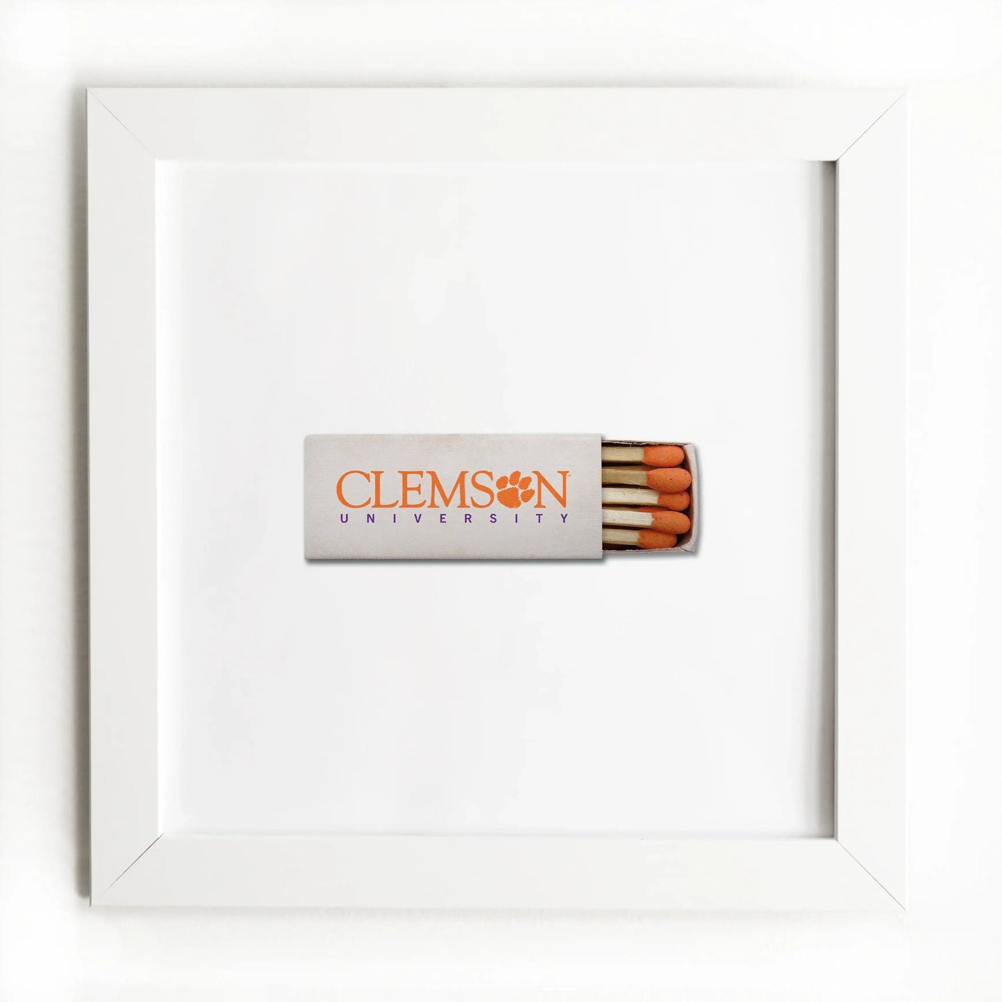 Clemson University Vol. 1