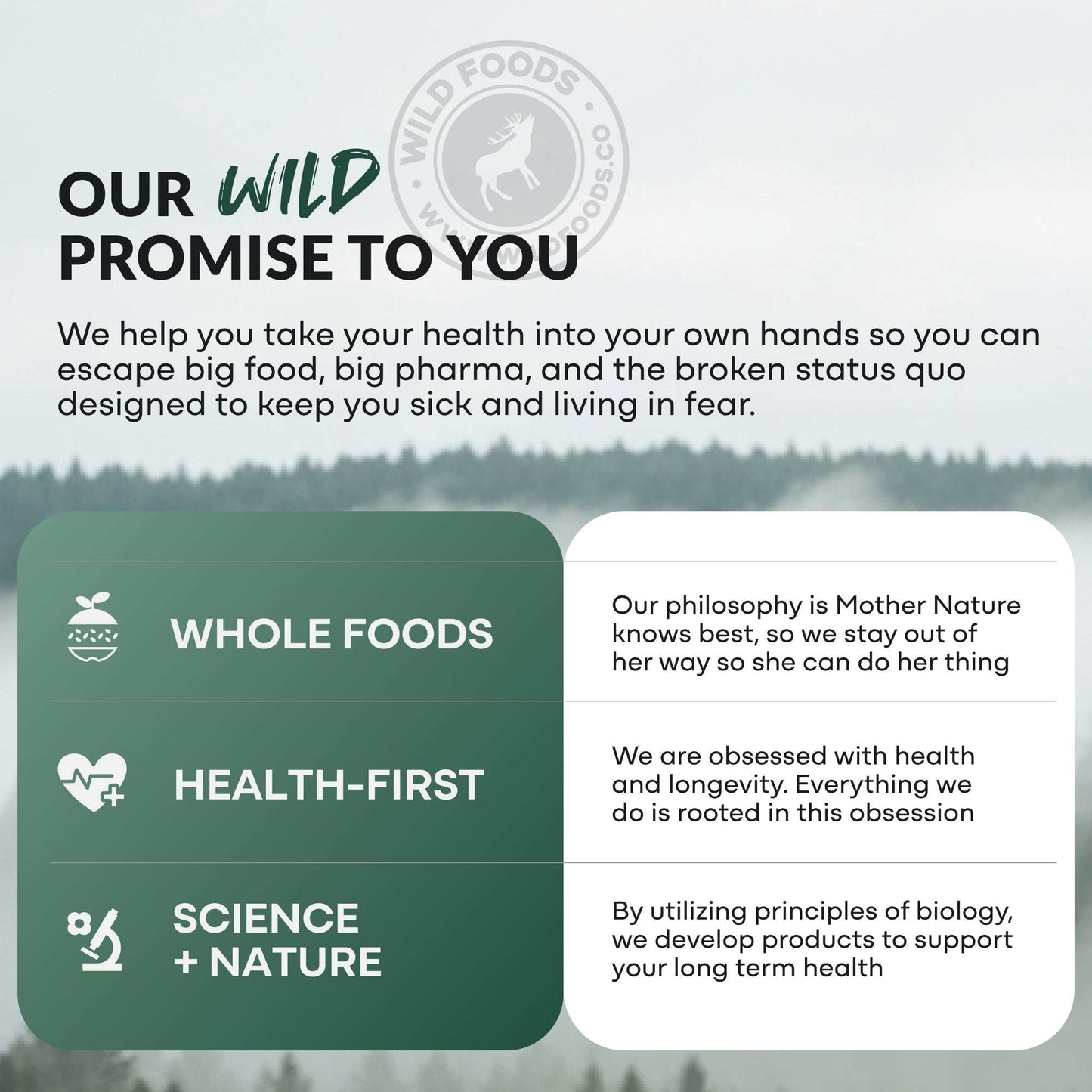 Wild Creatine Electrolytes