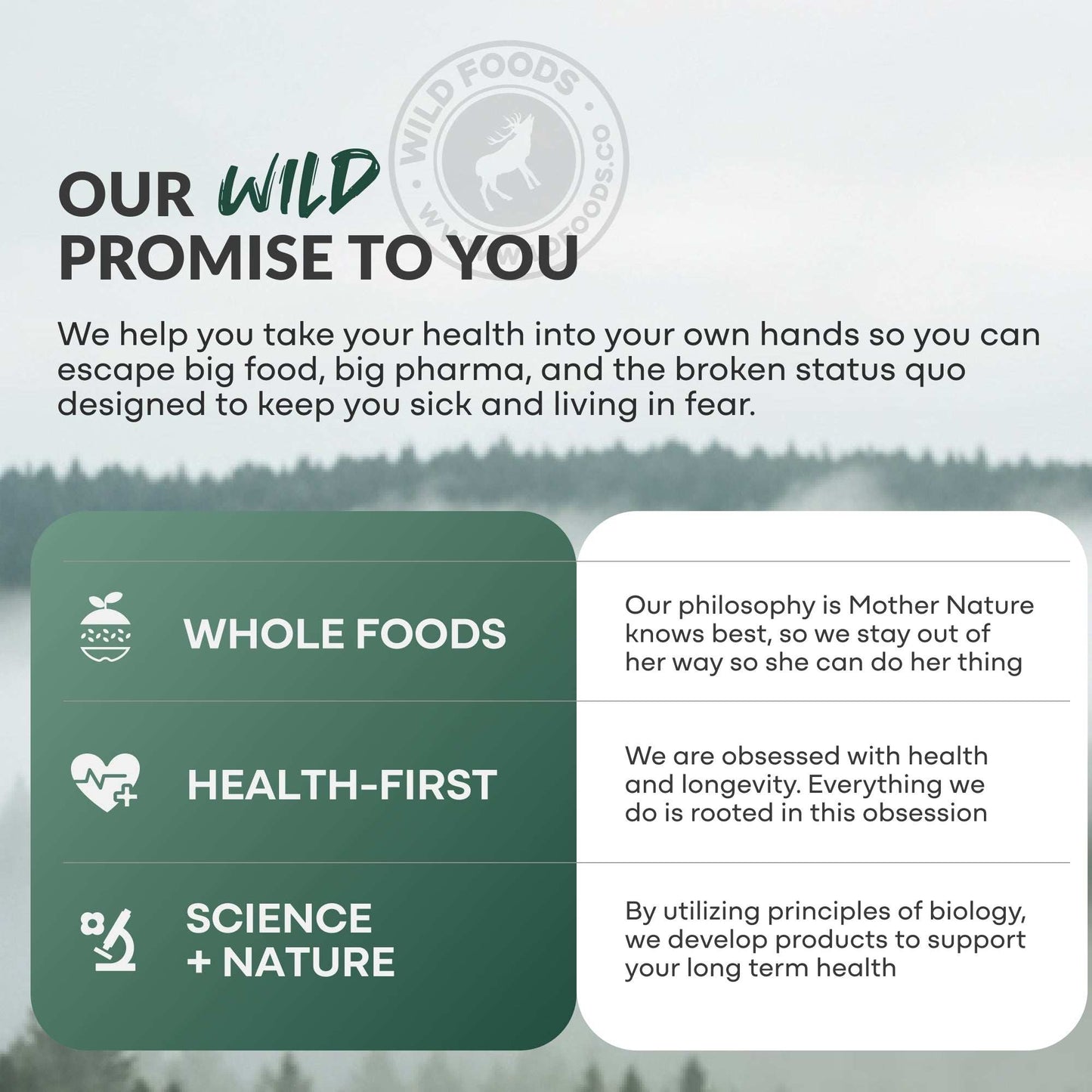 Wild Creatine Electrolytes