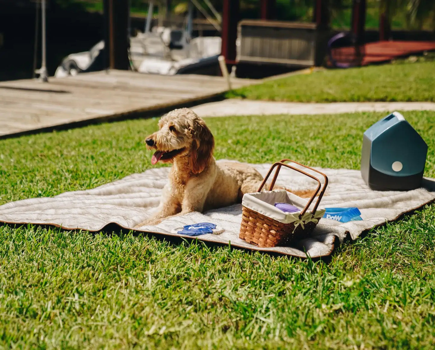 PupProtector™ Summer Short Fur Waterproof Throw Blanket - White with Brown Accents