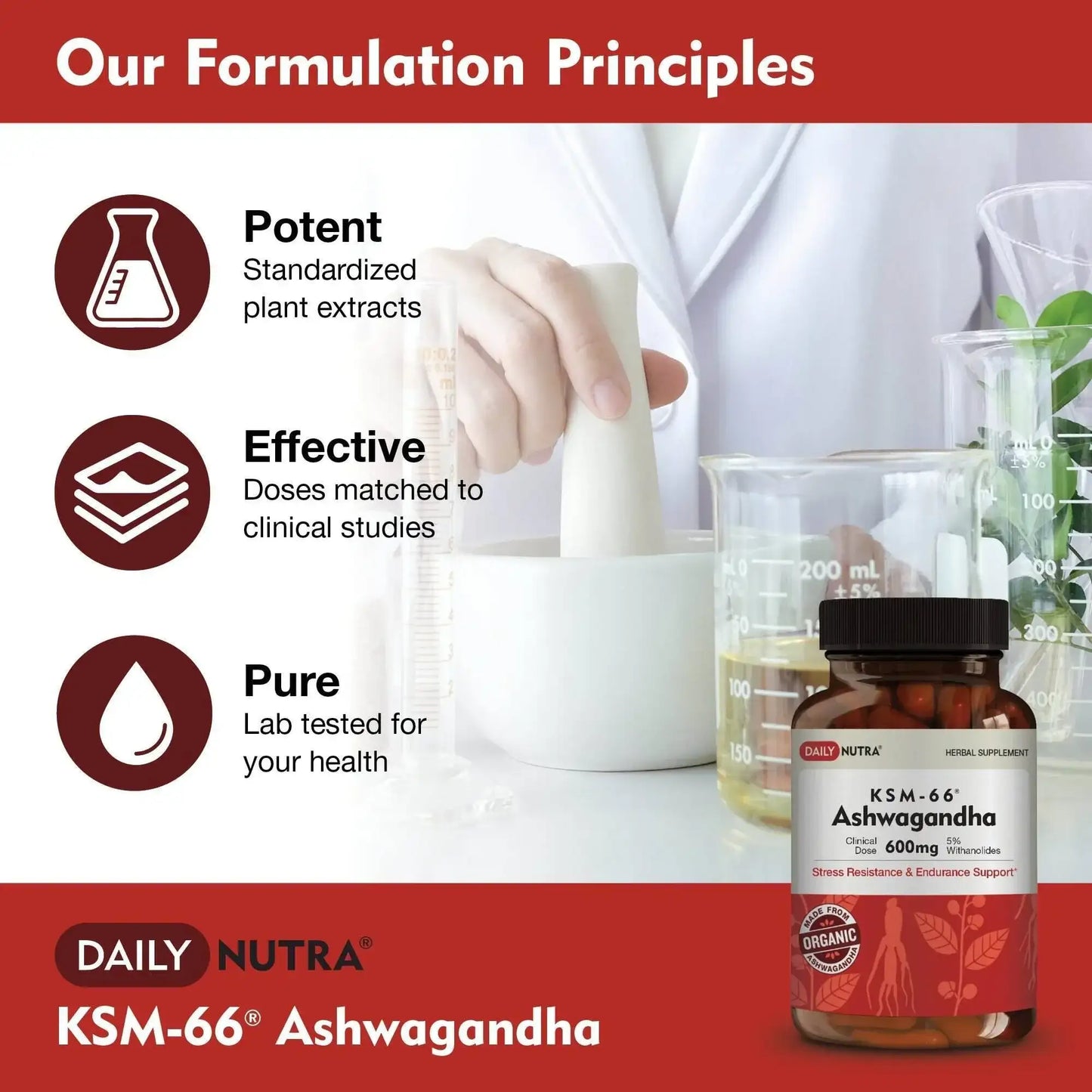 Daily Nutra KSM-66 Ashwagandha 600mg Capsules – Stress Relief & Relaxation