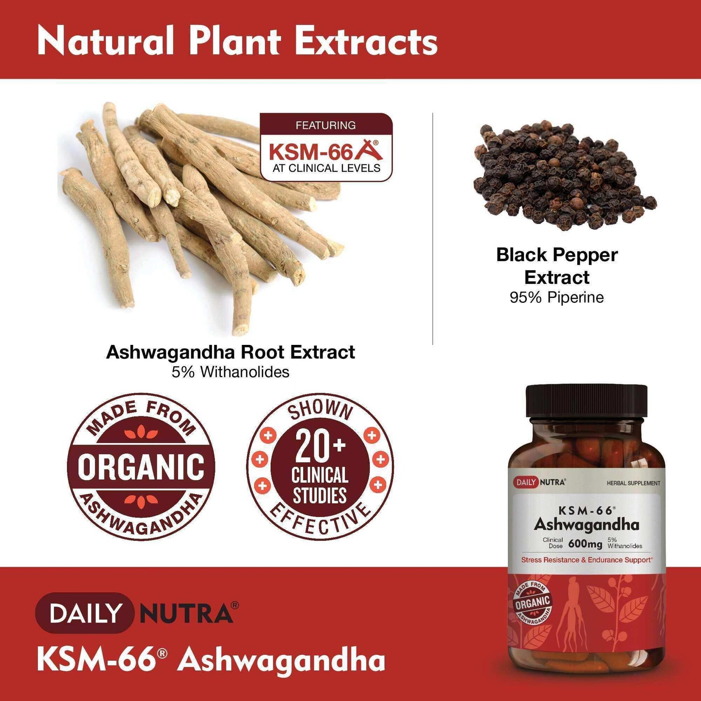 Daily Nutra KSM-66 Ashwagandha 600mg Capsules – Stress Relief & Relaxation