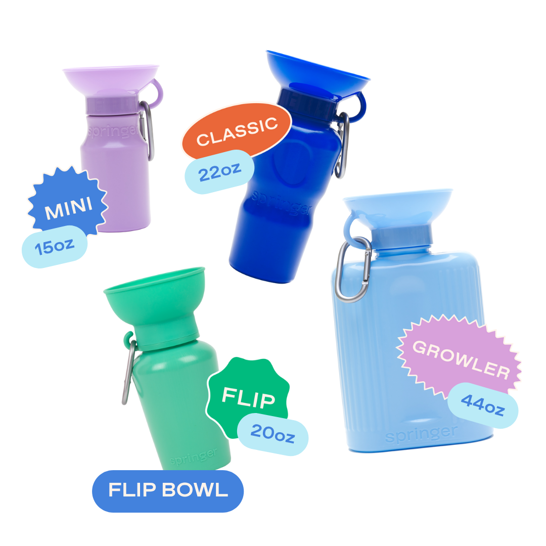 22oz Original Dog Travel Water Bottle