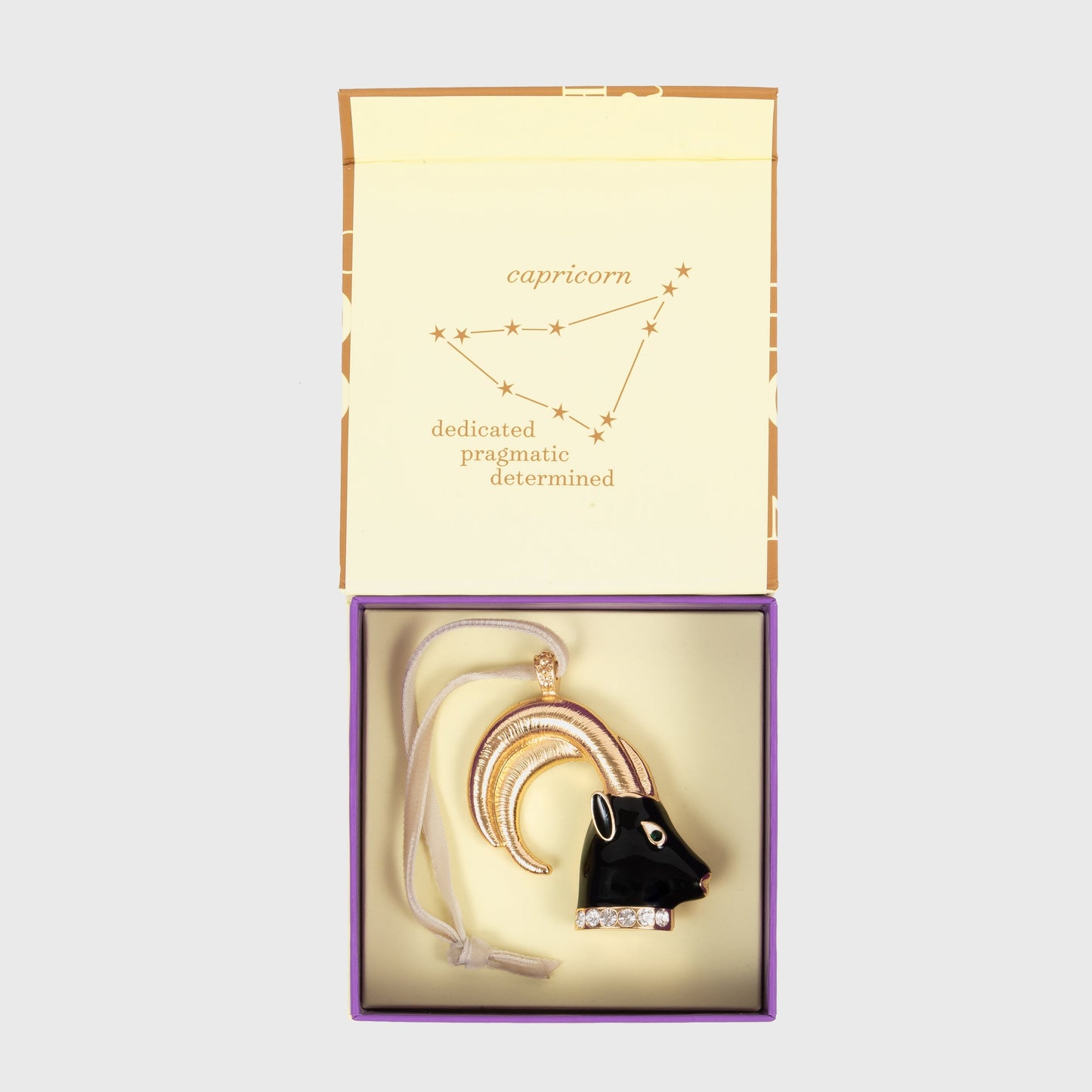Capricorn hanging ornament