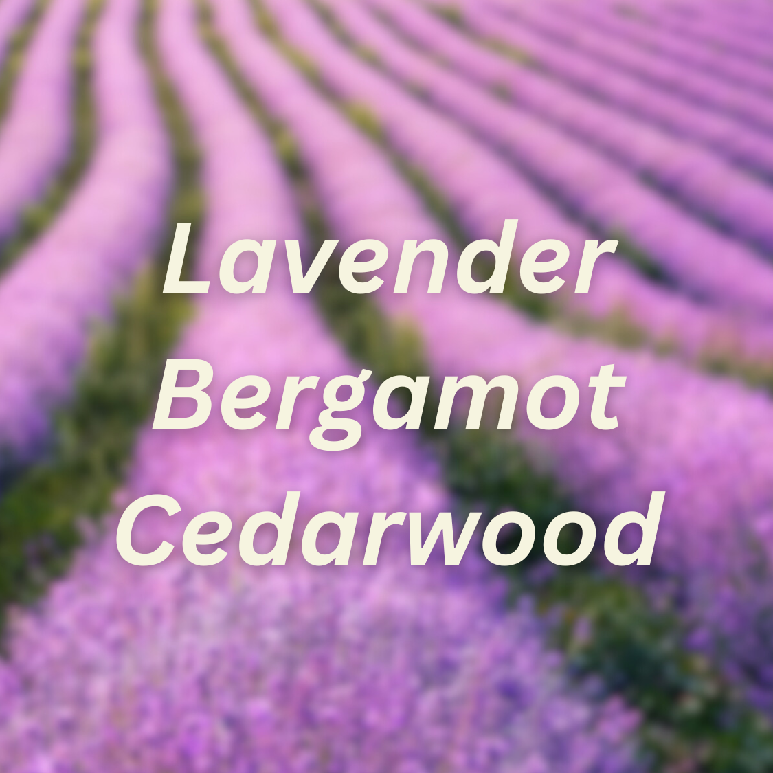 Lavender Fields Scent Booster