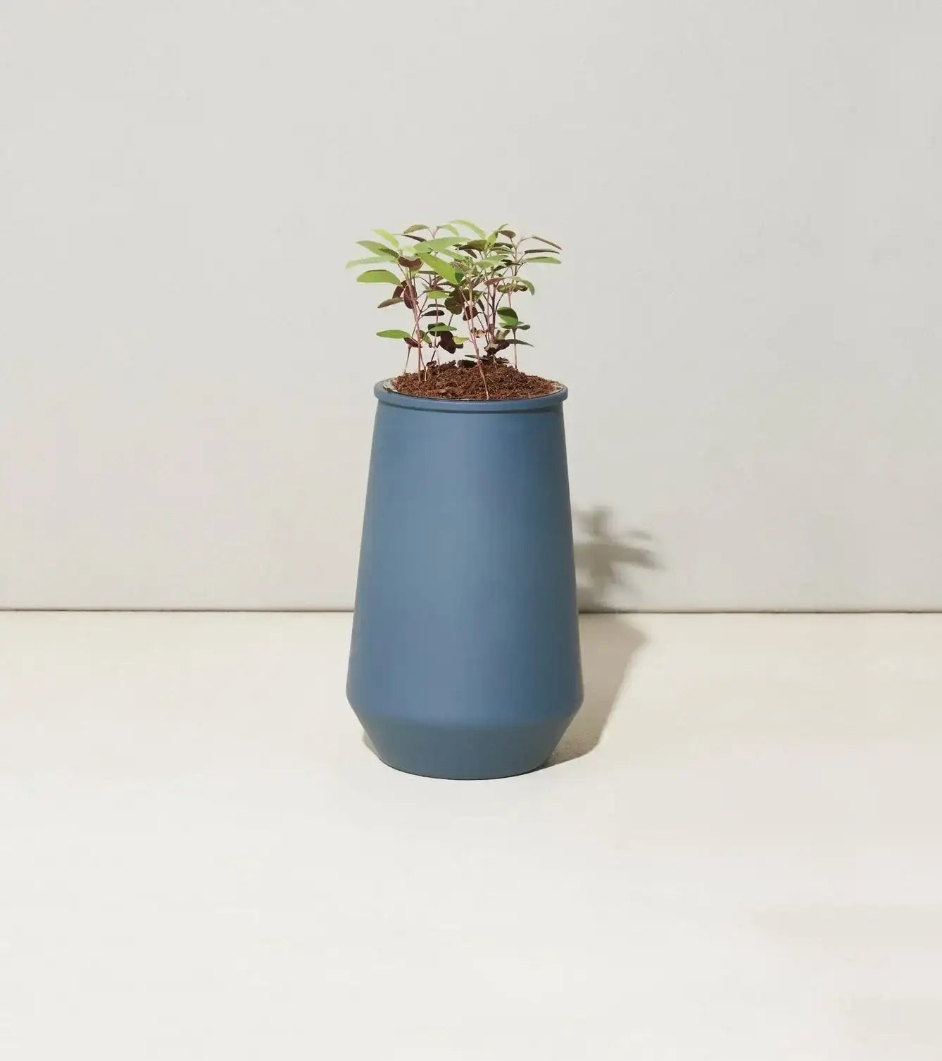 Tapered Tumbler Grow Kits