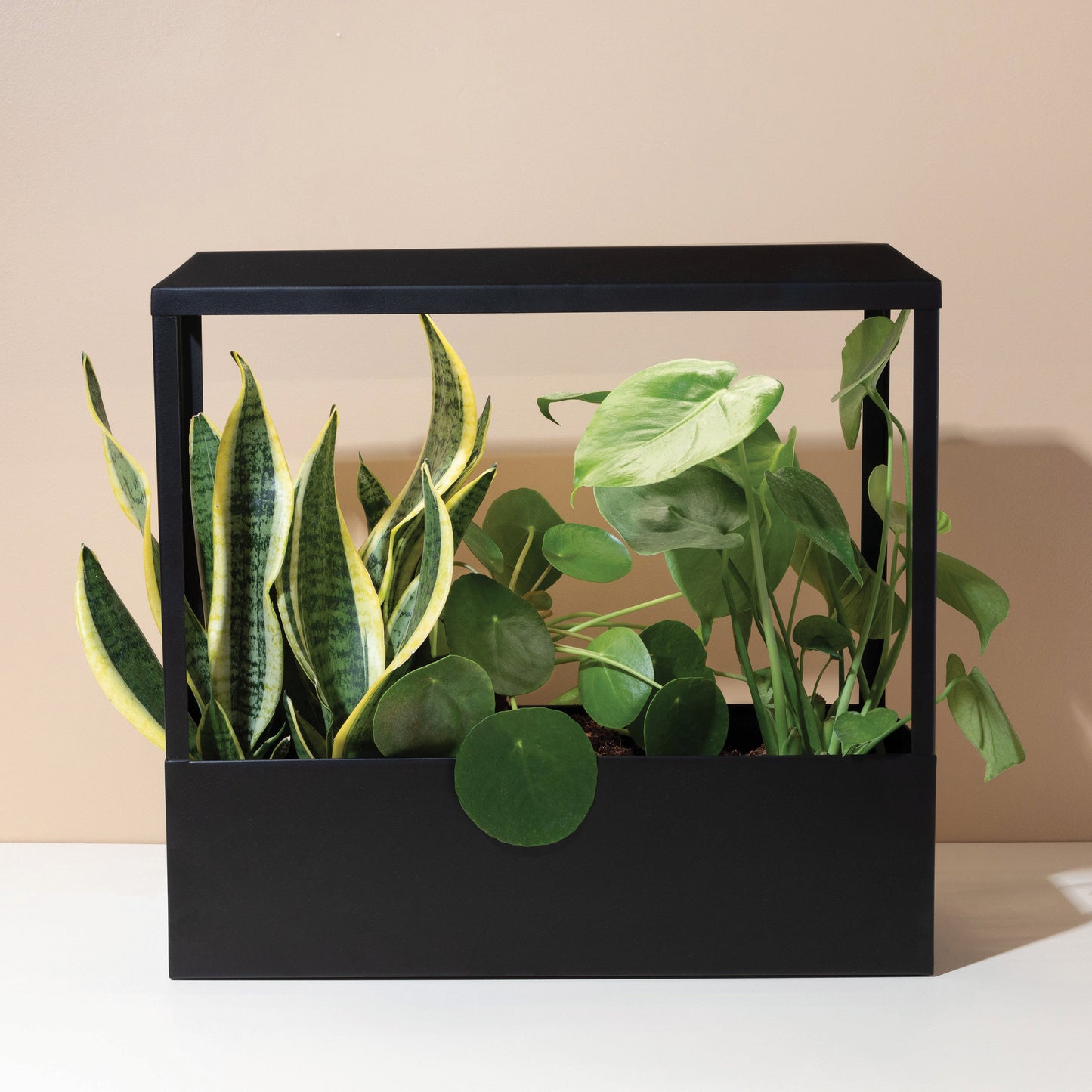Smart Growhouse