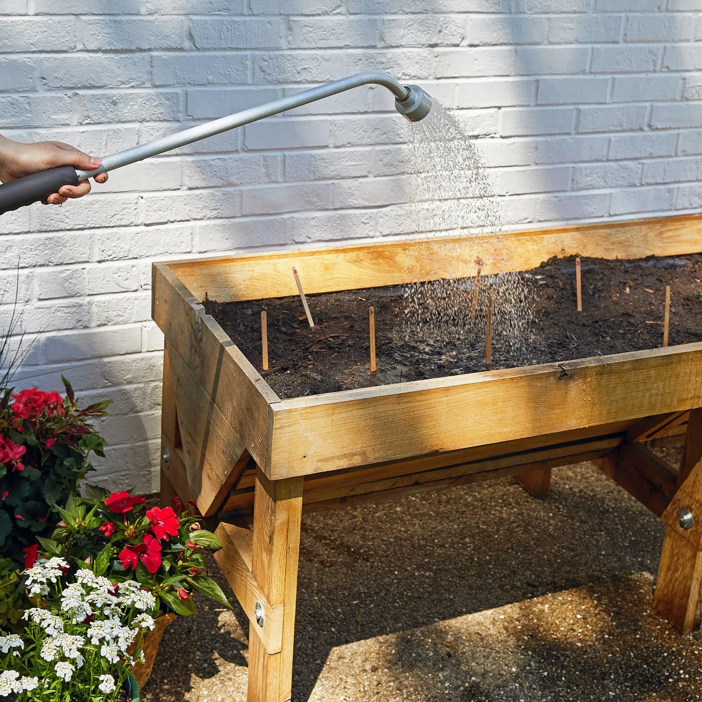 Seed Pops - Pollinator