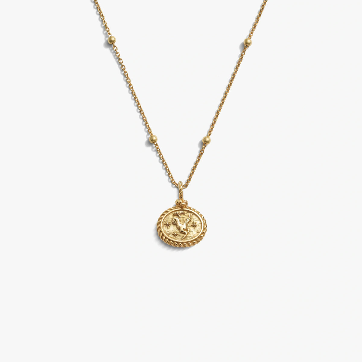 Capricorn Mini Gemstone Necklace
