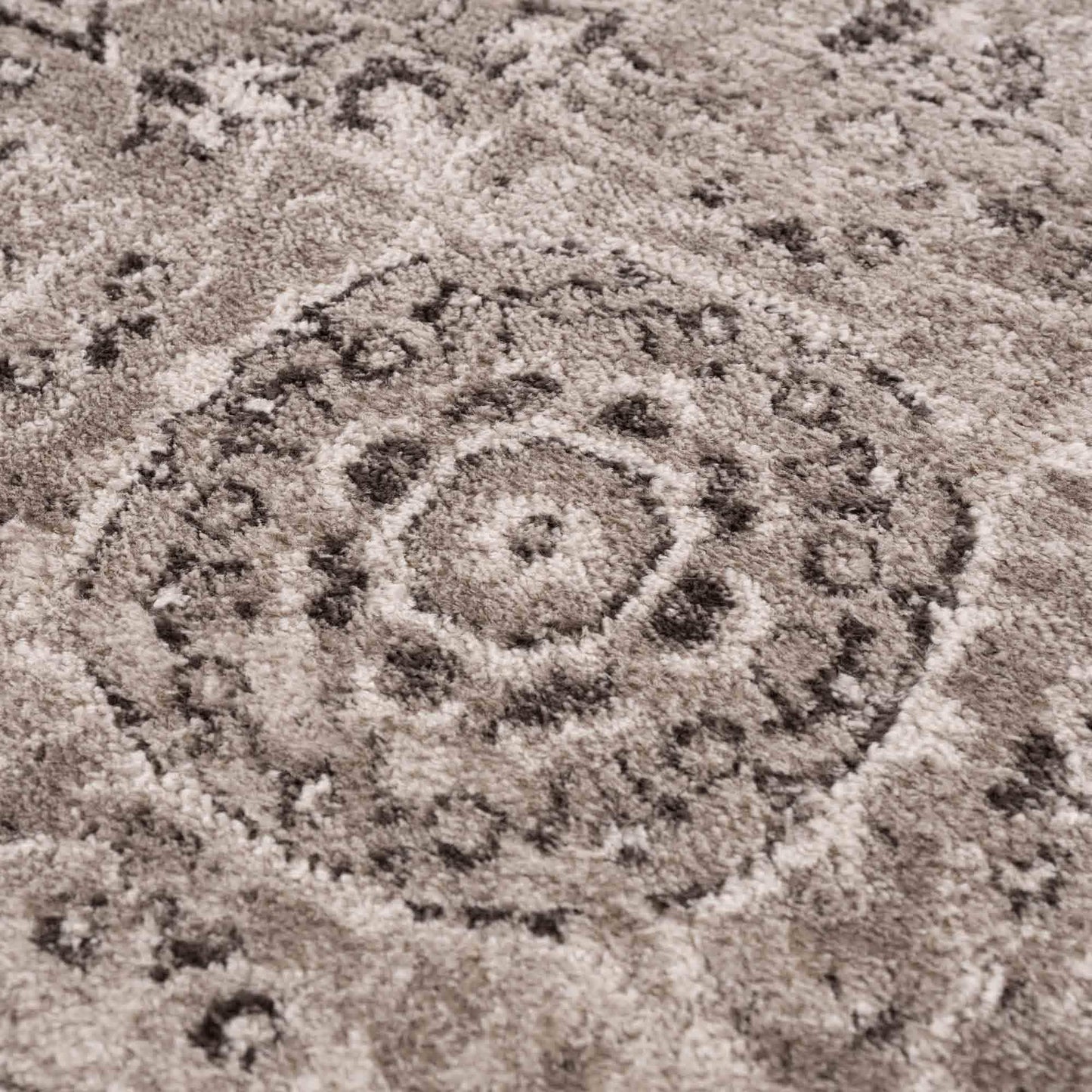 Albie Charcoal & Beige Area Rug