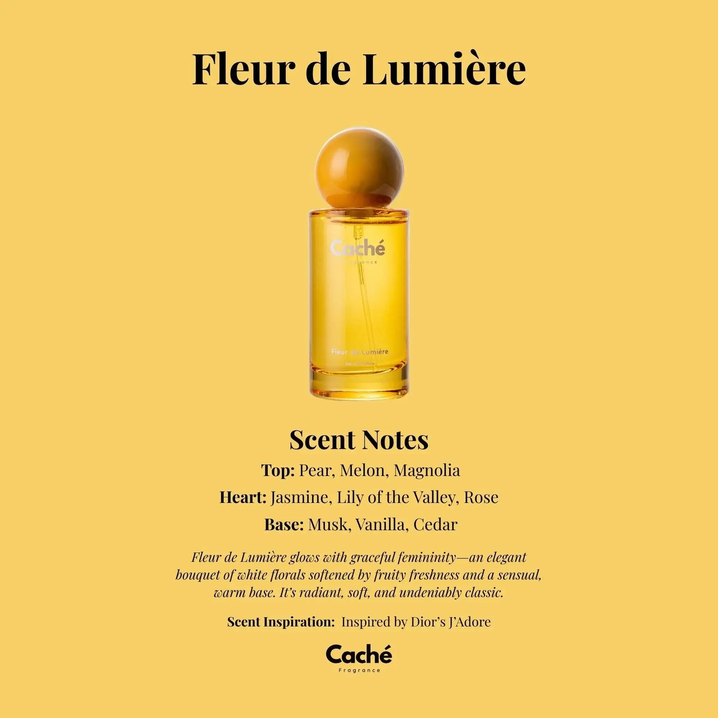Caché - Fleur de Lumière
