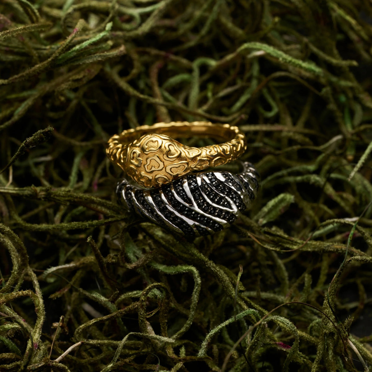 Cat Print Signet Ring Duo