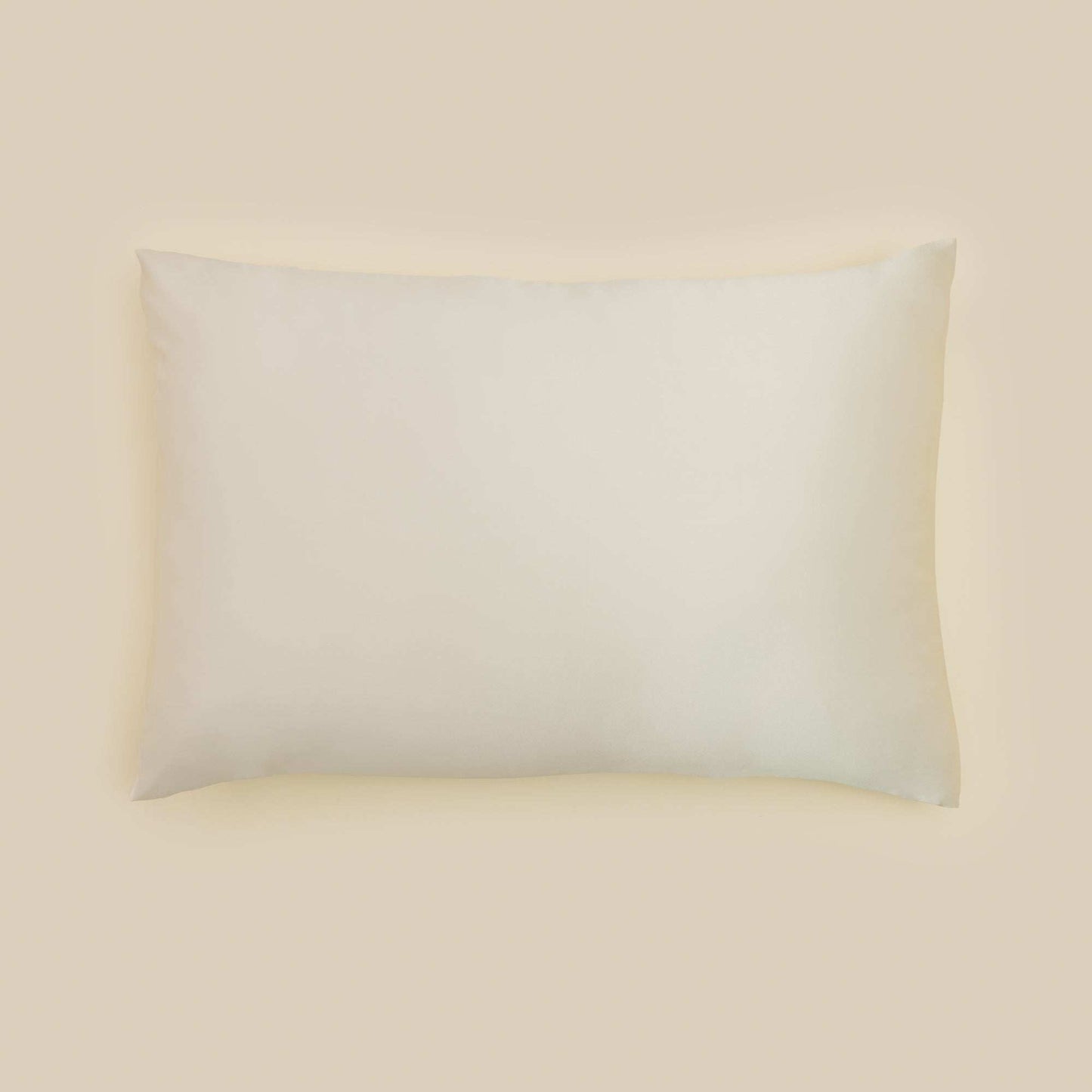Mulberry Silk Pillowcase