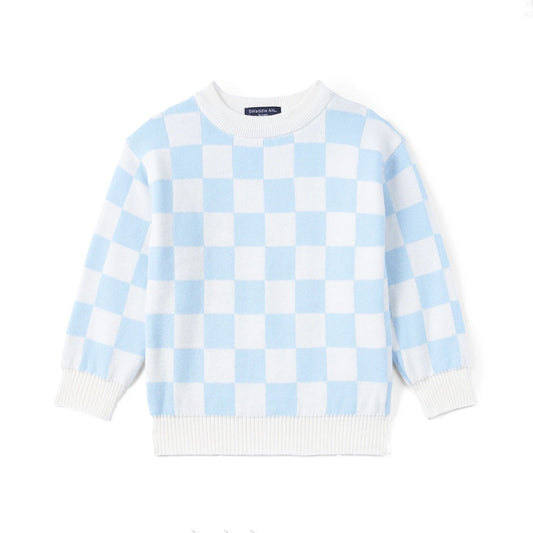 Blue Checker Knit Long Sleeve Crewneck Sweater