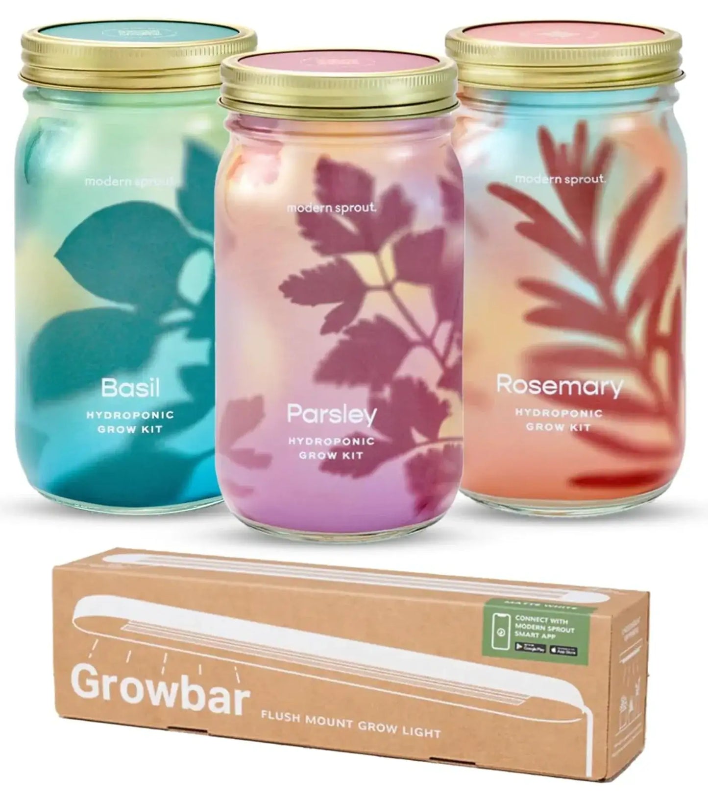 Garden Jars - Organic Herbs