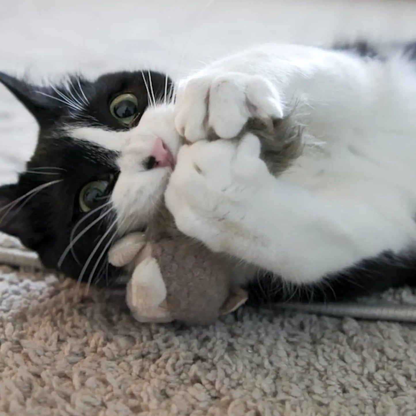 HuggleKats® Wee Fellar Squirrelie Cat Toy