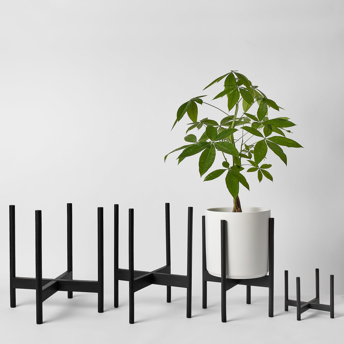 Rounded Hardwood Plant Stand