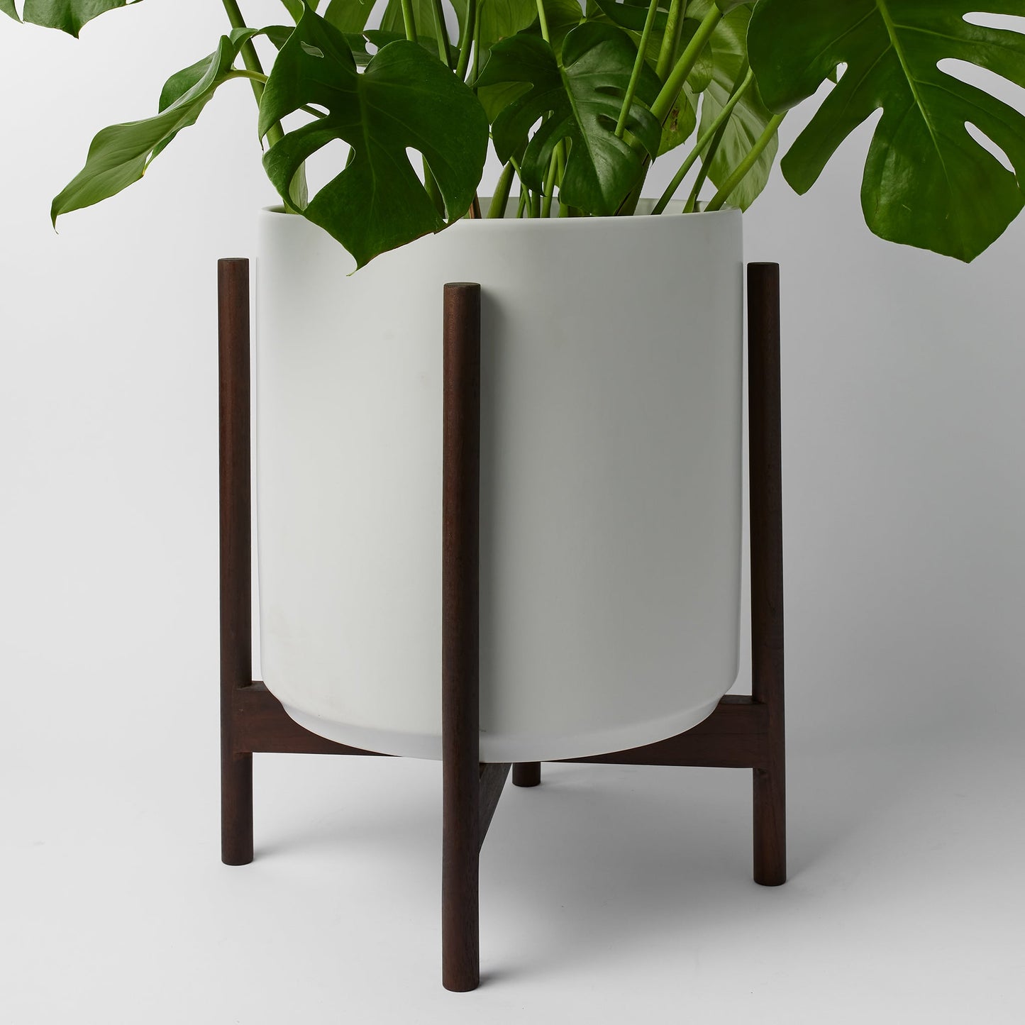 Rounded Hardwood Plant Stand