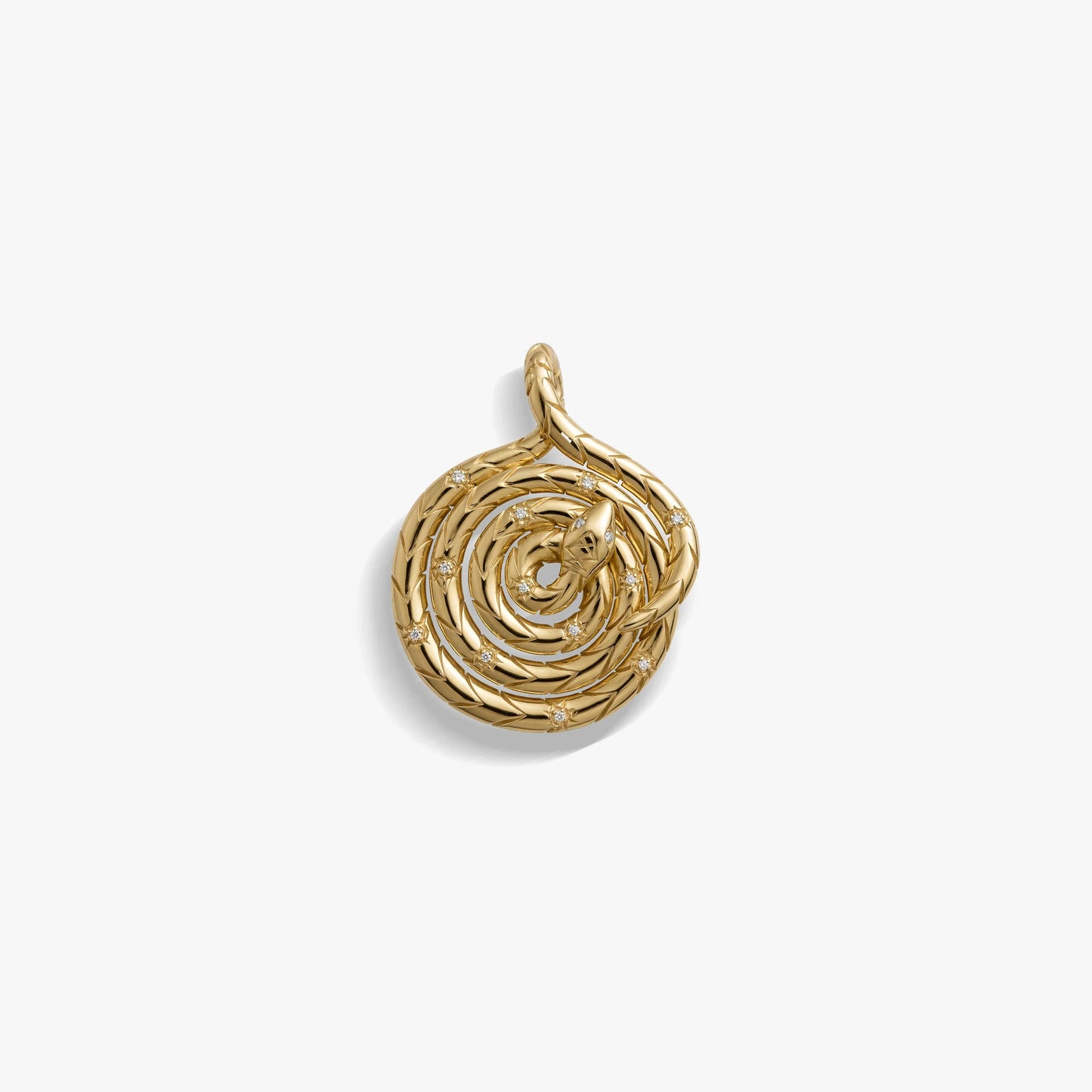 Sapphire Spiral Snake Coin