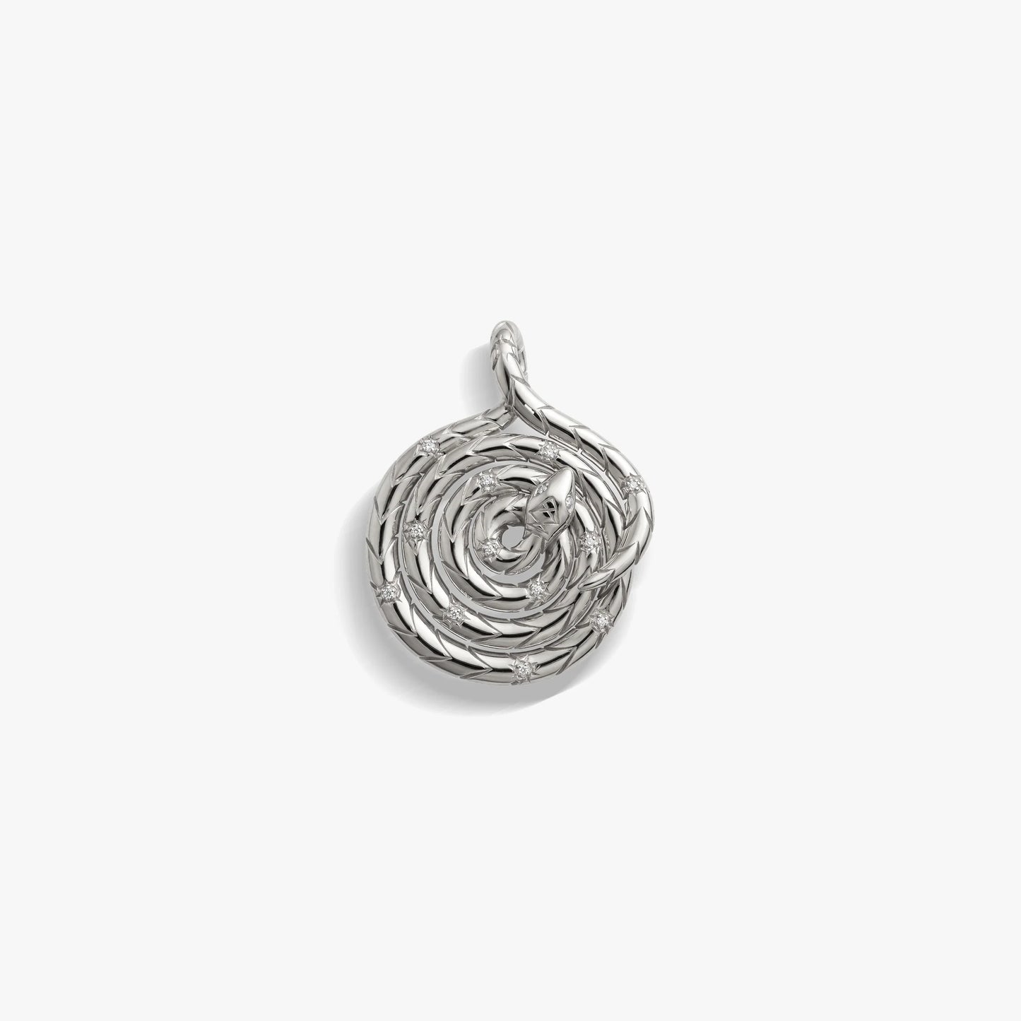Sapphire Spiral Snake Coin
