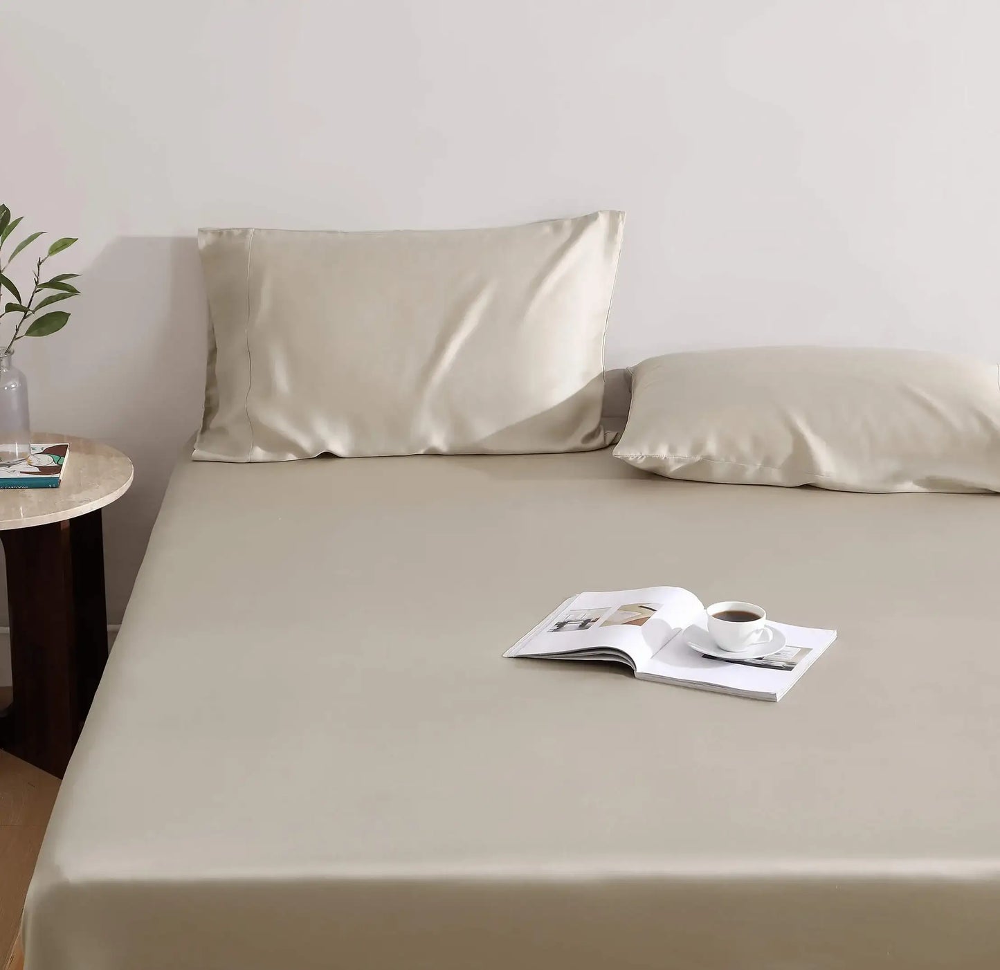 Silky Lyocell Pillowcase Set