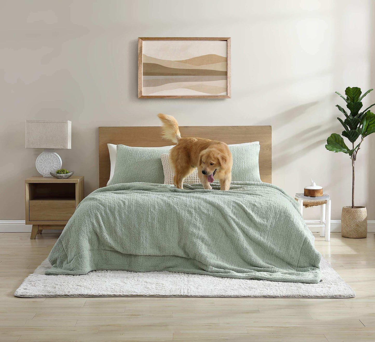 Snug + Lumière Sham Set