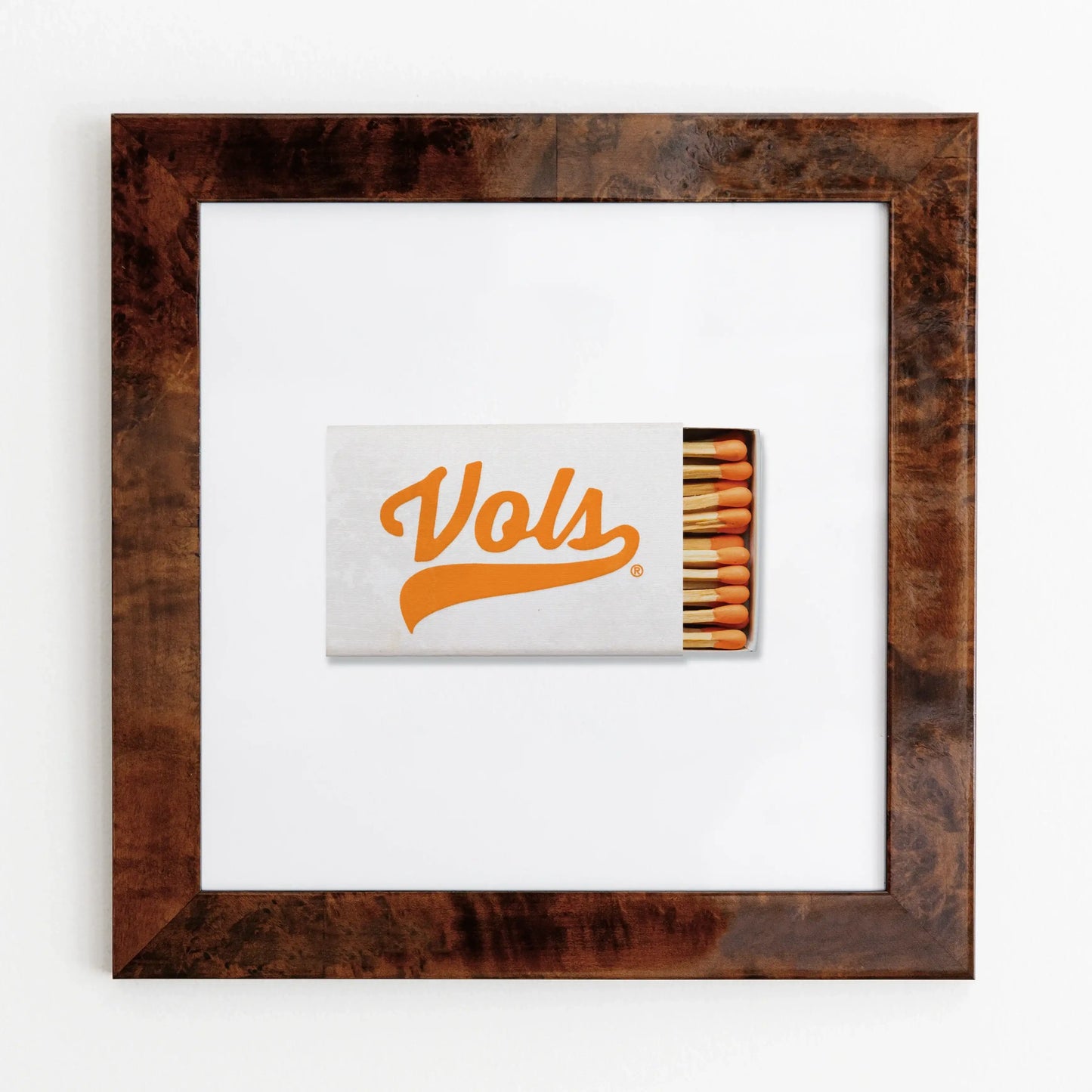 University of Tennessee Vol. 1