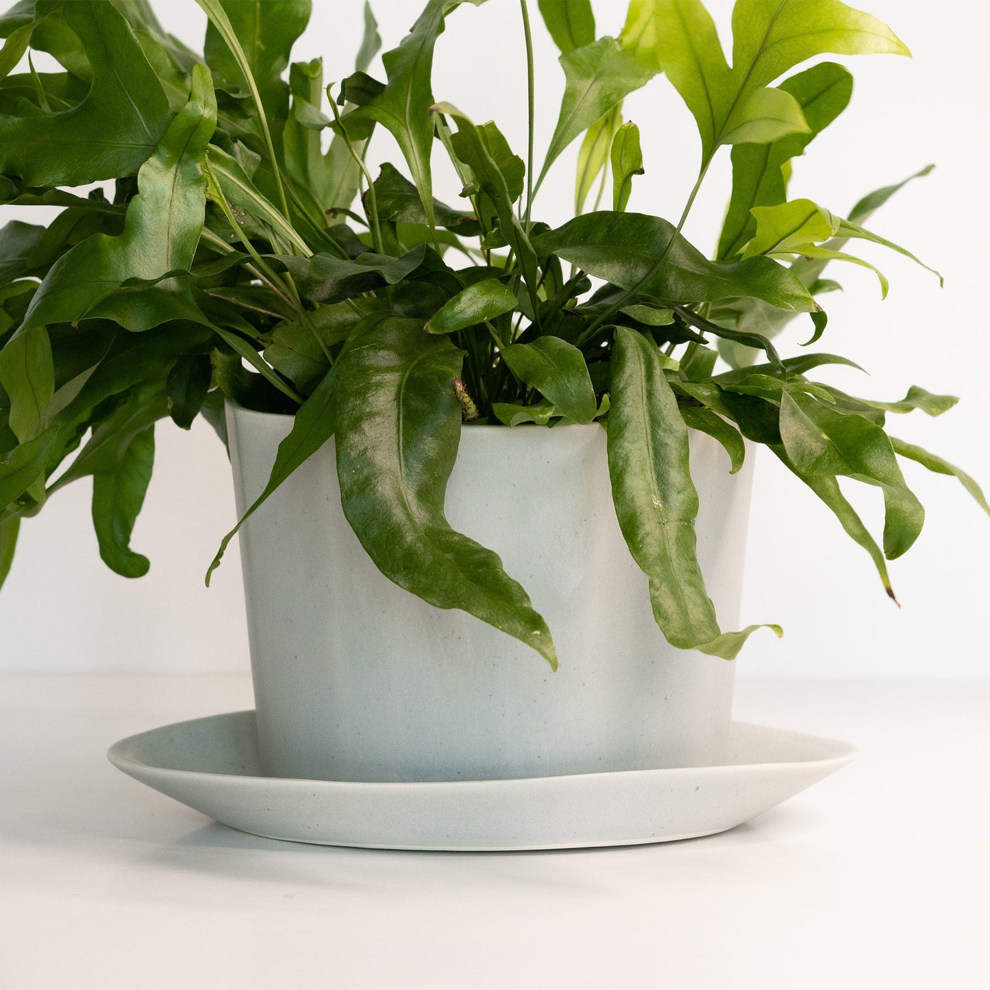 Geometric Oval Handmade Porcelain Planter
