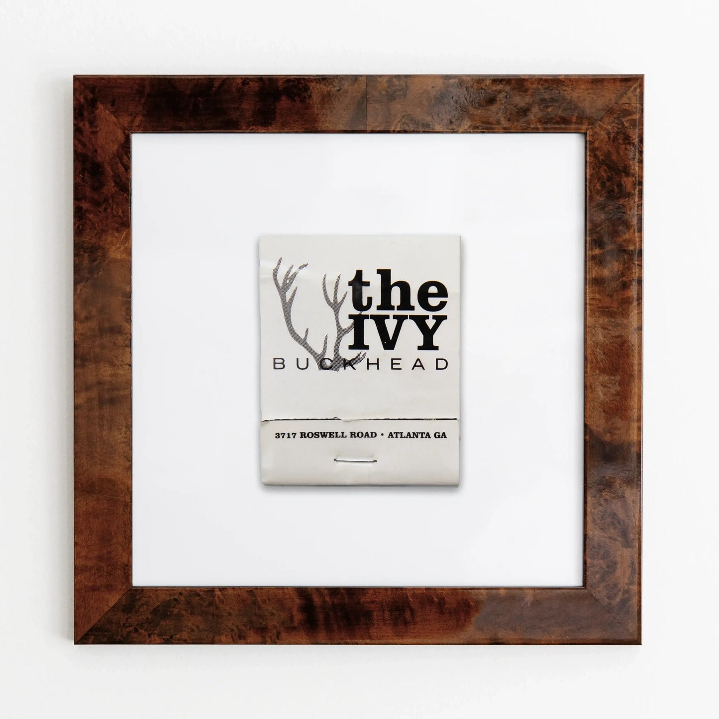 The Ivy