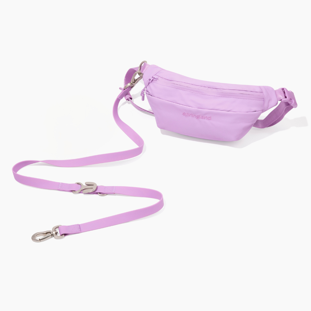 Hands-Free Dog Walking Bag with 4ft Leash