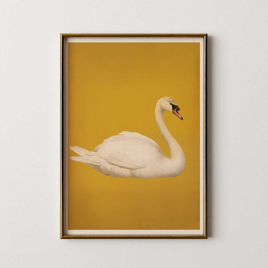White Swan on Gold Art Print