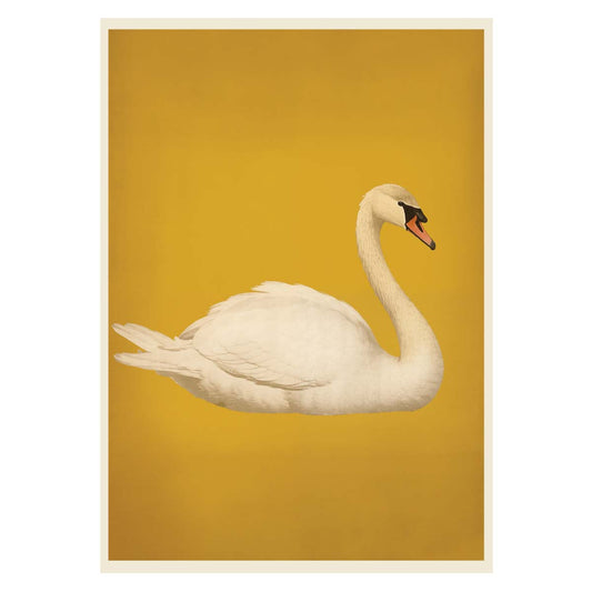 White Swan on Gold