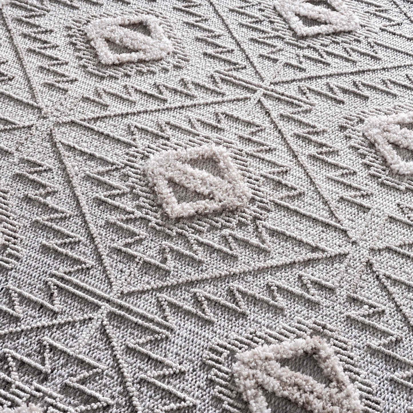 Agoo Area Rug