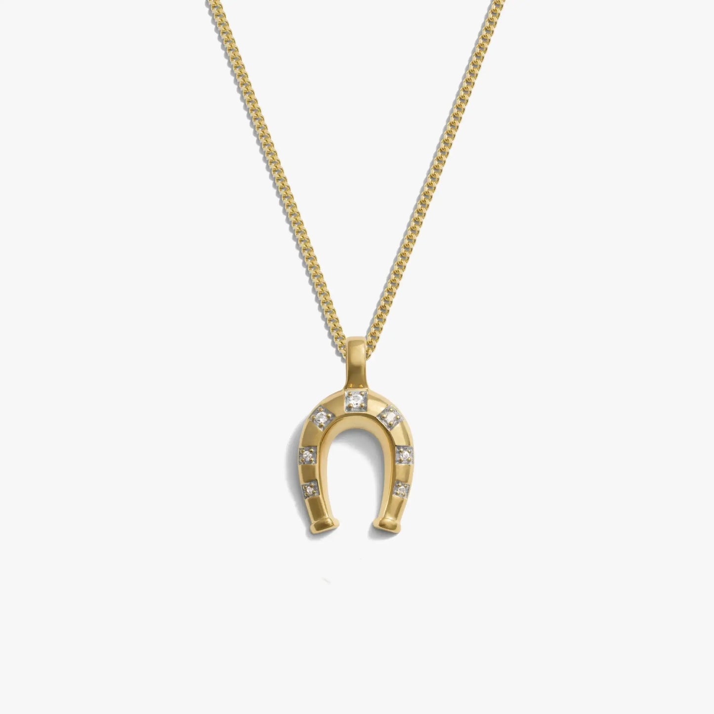 Horseshoe Necklace