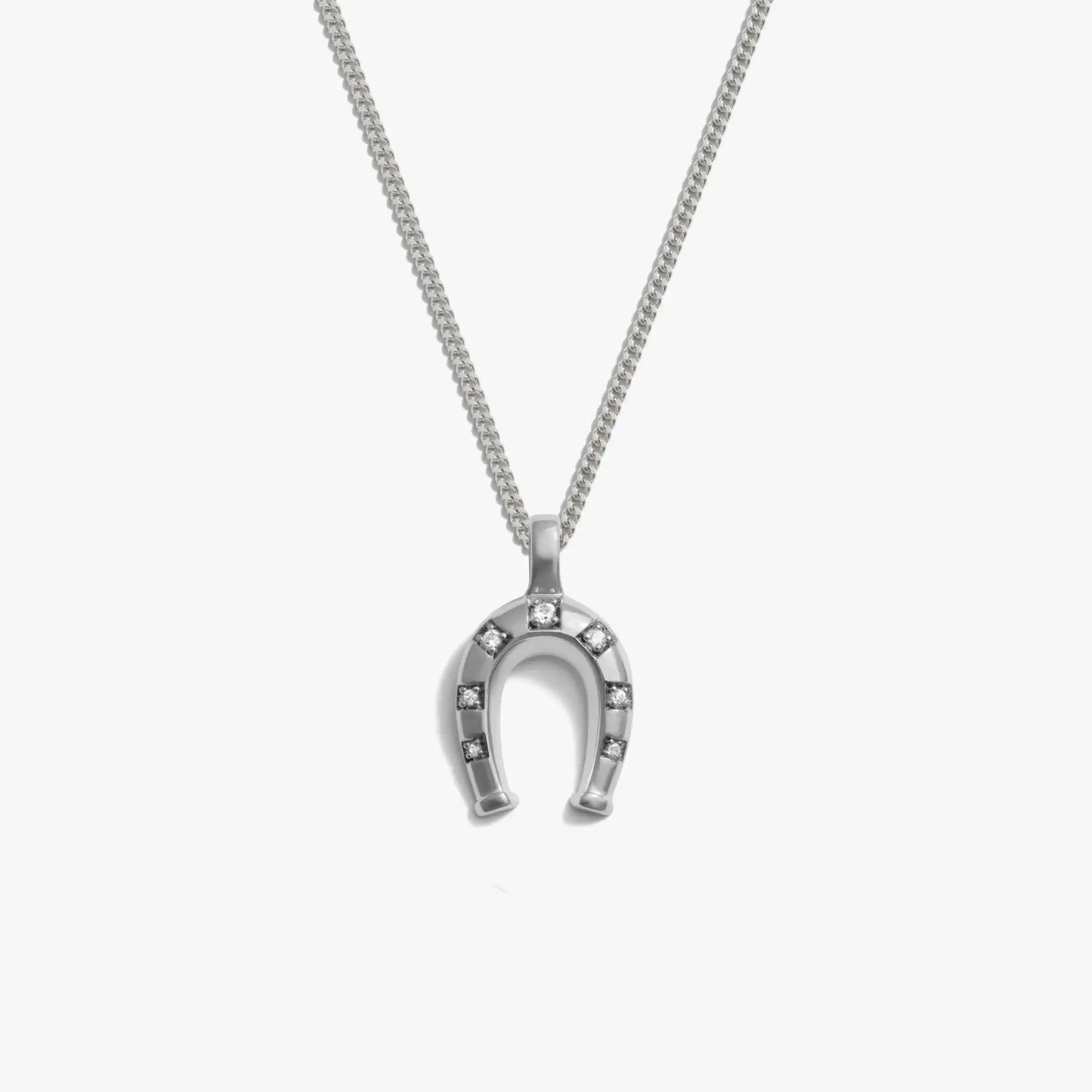 Horseshoe Necklace