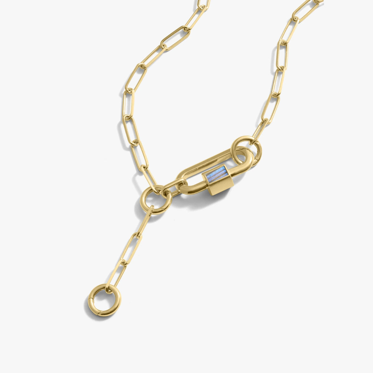 Carabiner Lariat Collector Necklace