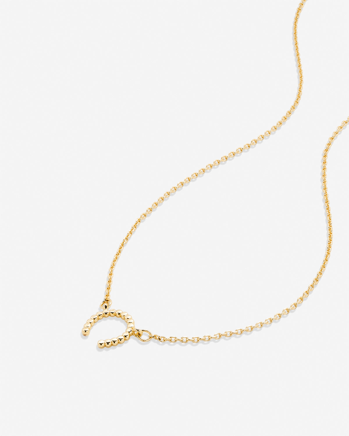 Just For Luck Horseshoe Necklace