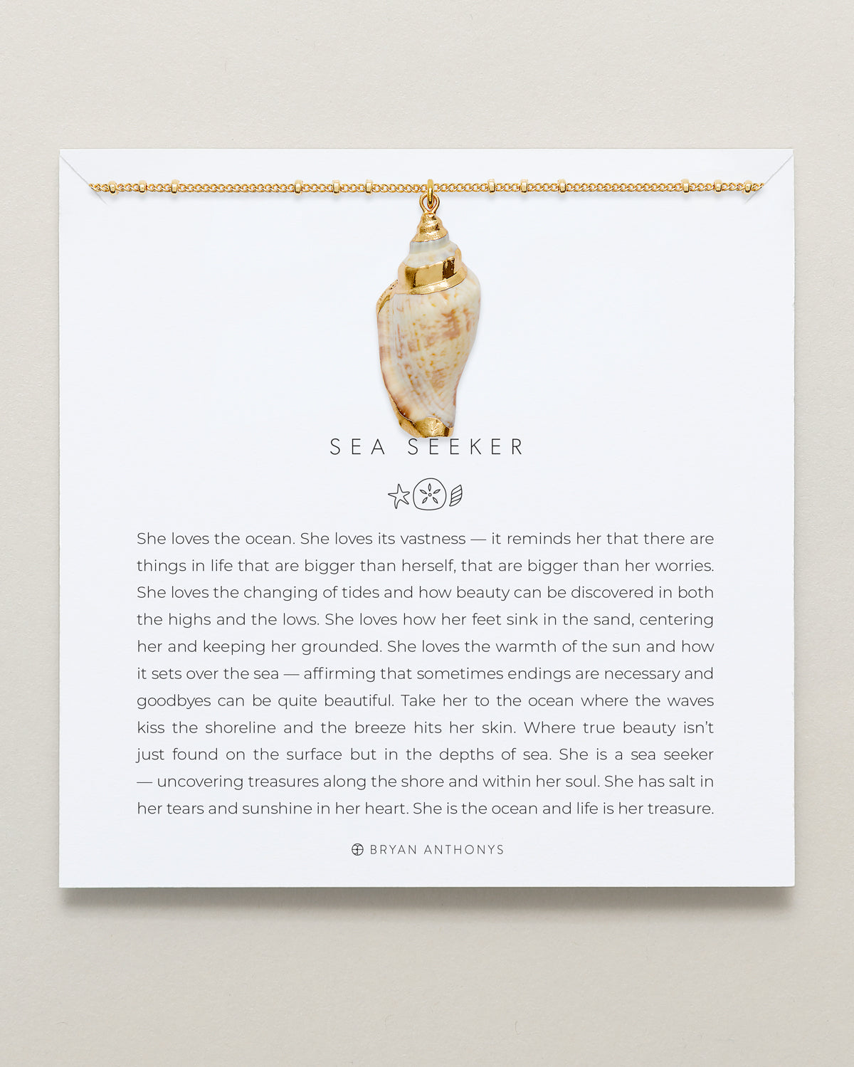 Sea Seeker Shell Necklace